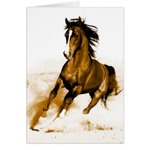 Horse Running