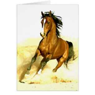 Horse Running