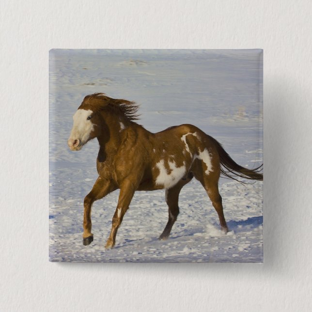 Horse Running in Snow 2 Inch Square Button (Front)