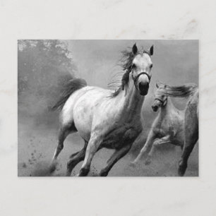 Horse Running Postcard