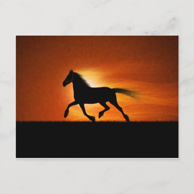 Horse Running Postcard (Front)