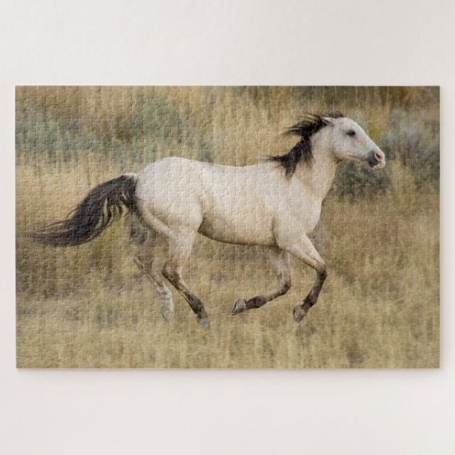 Horse Running Through Prairie Grass Jigsaw Puzzle (Horizontal)