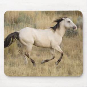 Horse Running Through Prairie Grass Mouse Pad