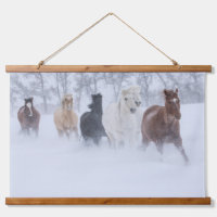 Horse Running Through the Snow