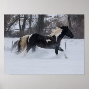 Horse Running Through the Snow Poster