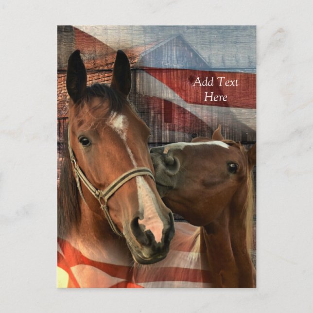 Horse Rustic Barn American Flag Postcard (Front)