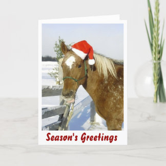Horse Season's Greetings Holiday Card
