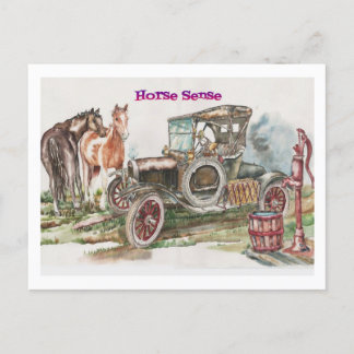 Horse Sense Postcard
