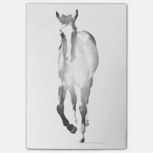 Horse Shadow Post-it Notes
