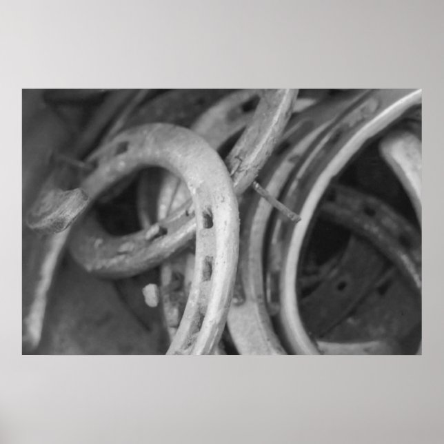 Horse Shoe Print (Front)