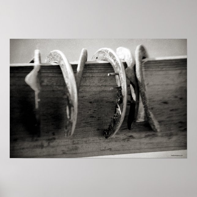 Horse Shoes Poster (Front)