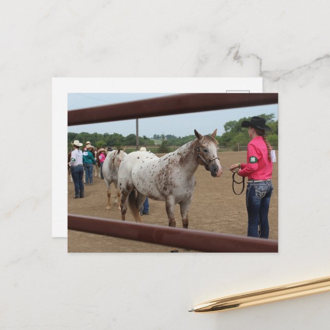 Horse Show Showmanship Postcard (Front/Back In Situ)