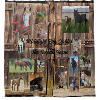 Horse Shower Curtain 