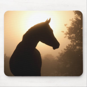 Horse Silhouette at Dawn Mouse Pad