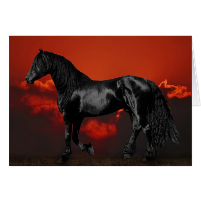 Horse silhouette at sunset (Front Horizontal)