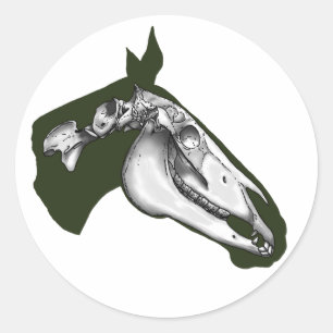 Horse Skeleton Classic Round Sticker
