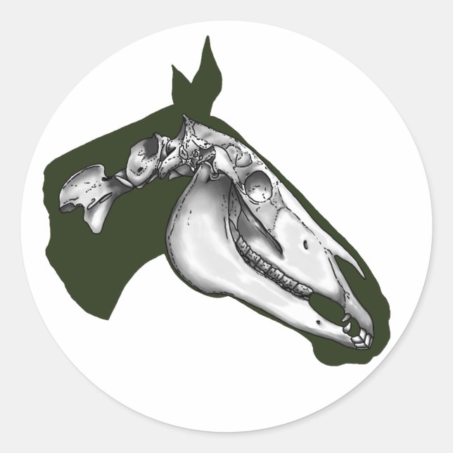 Horse Skeleton Classic Round Sticker (Front)