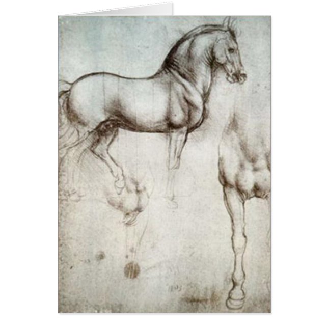 Horse Sketch (Front)