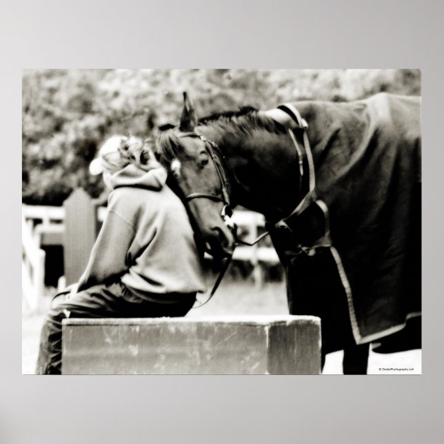 Horse Snuggles Poster (Front)