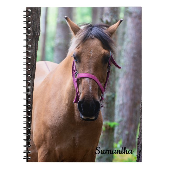 Horse Spiral Notebook (Front)