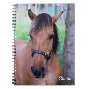 Horse Spiral notebook