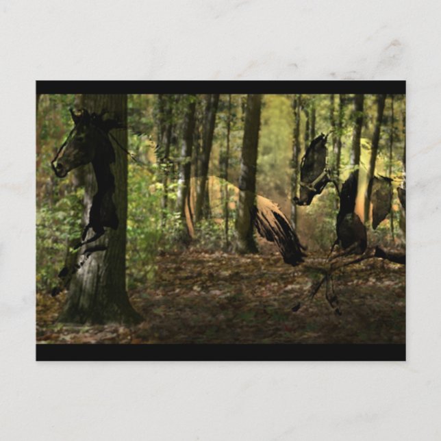 Horse Spirit Postcards (Front)