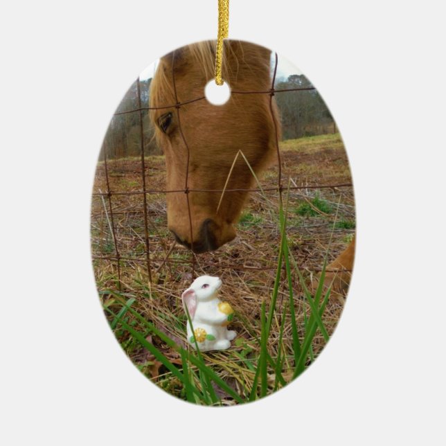 horse & Spring flower Bunny Ceramic Ornament (Front)