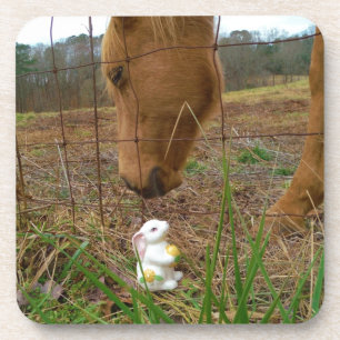 horse & Spring flower Bunny Coaster