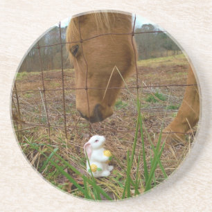 horse & Spring flower Bunny Coaster
