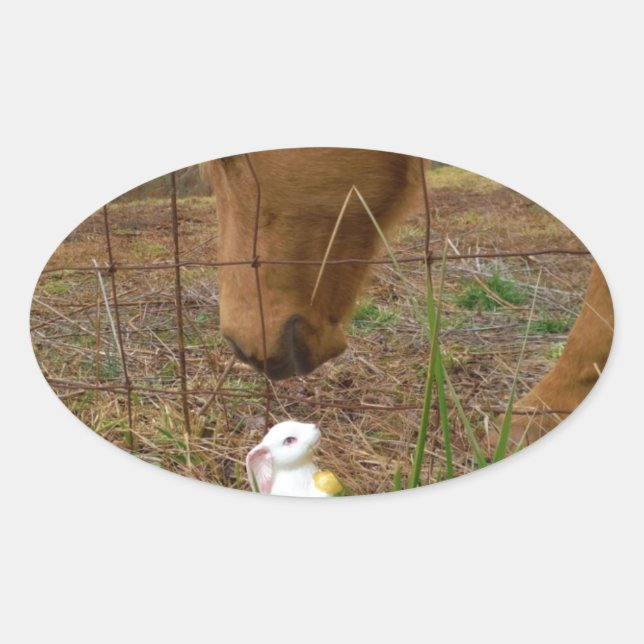 horse & Spring flower Bunny Oval Sticker (Front)