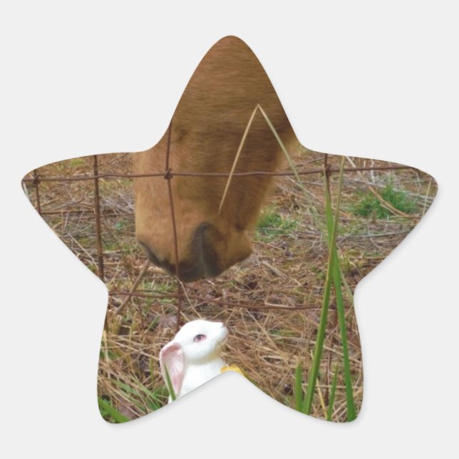 horse & Spring flower Bunny Star Sticker (Front)