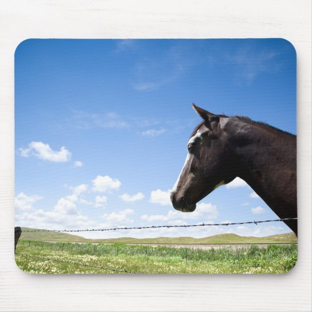 Horse standing at fence in pasture mouse pad (Front)