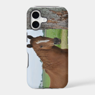 Horse Standing By Tree Case