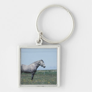 Horse standing in field keychain