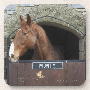 Horse standing looking out of its stable coaster