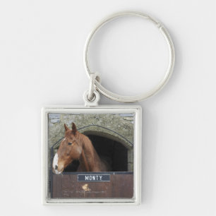 Horse standing looking out of its stable keychain