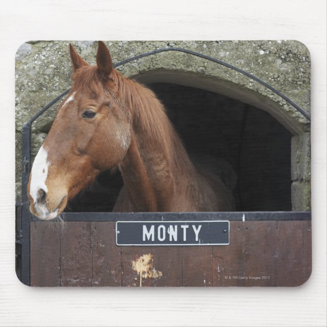 Horse standing looking out of its stable mouse pad (Front)