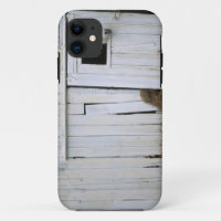 Horse Sticking Head out Barn Window