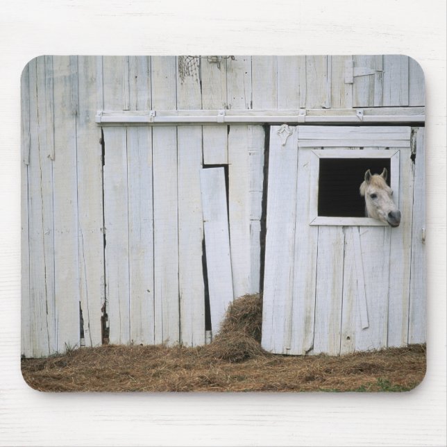 Horse Sticking Head out Barn Window Mouse Pad (Front)
