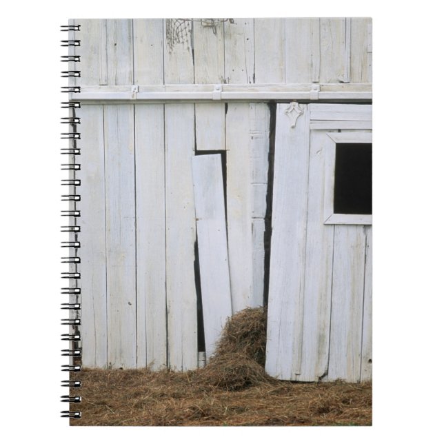 Horse Sticking Head out Barn Window Notebook (Front)