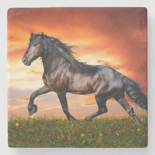Horse Stone Coaster
