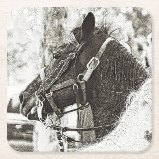 Horse stylized black and white graphic art photo  square paper coaster