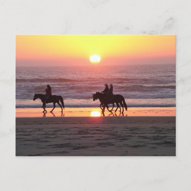 Horse Sunset Post Card (Front)