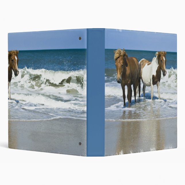 Horse Swim Binder (Background)