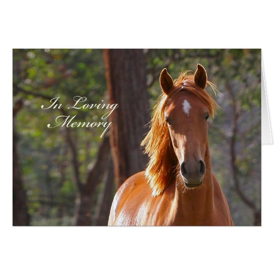 Horse Sympathy Card