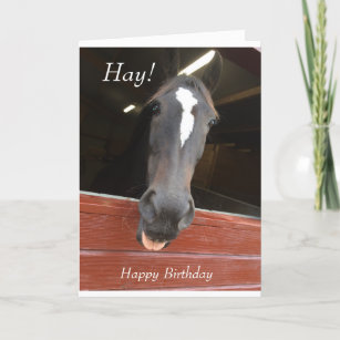 horse themed birthday card