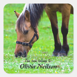 Horse "This book belongs to ..." Sticker