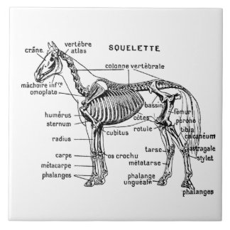 Horse Tile
