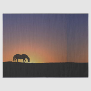 Horse Tissue Paper
