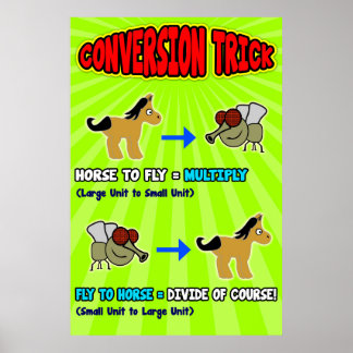 Horse to Fly = Poster/Anchor Chart for Students